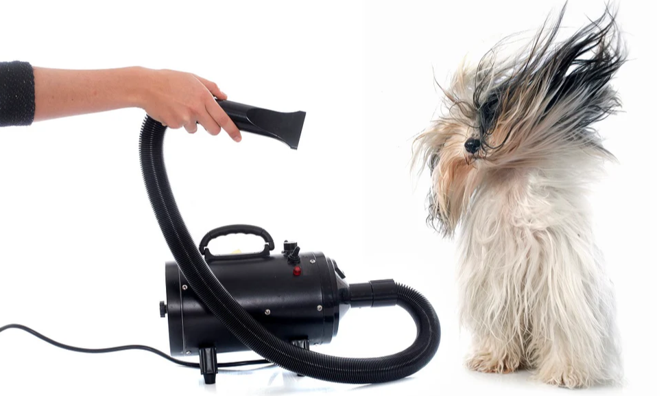 Pet Dryer