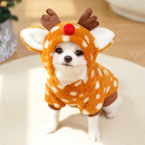 Cute Pet Clothes